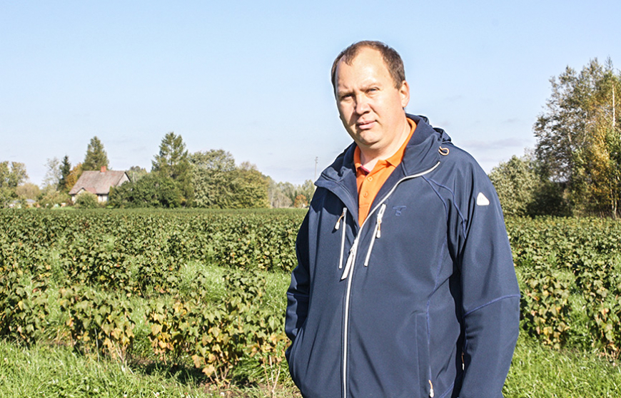 Viļķenes «Kalnlībieši» pārtop upeņdārzā