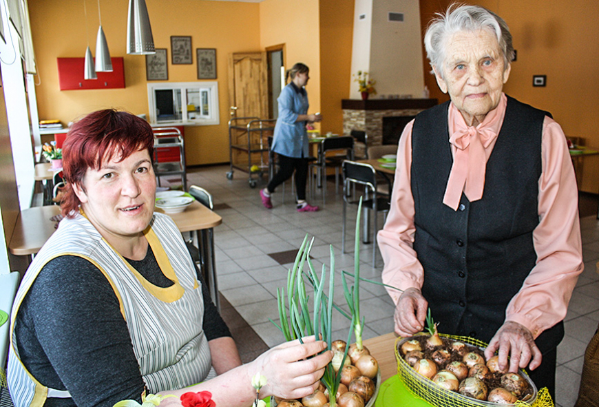 Vitamīni mazdārziņā uz palodzes