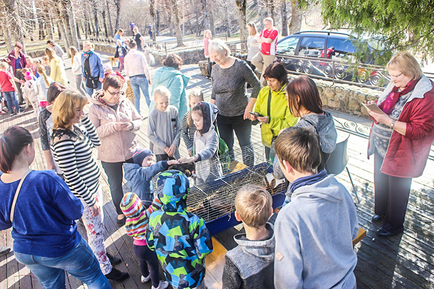 Ģimeņu dienā LGB varēja satikt suņus un trušus