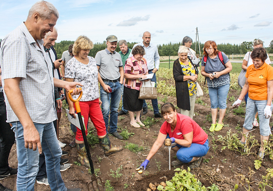 Lauka dienā – par tveices mocītajiem tupeņiem un zirņiem