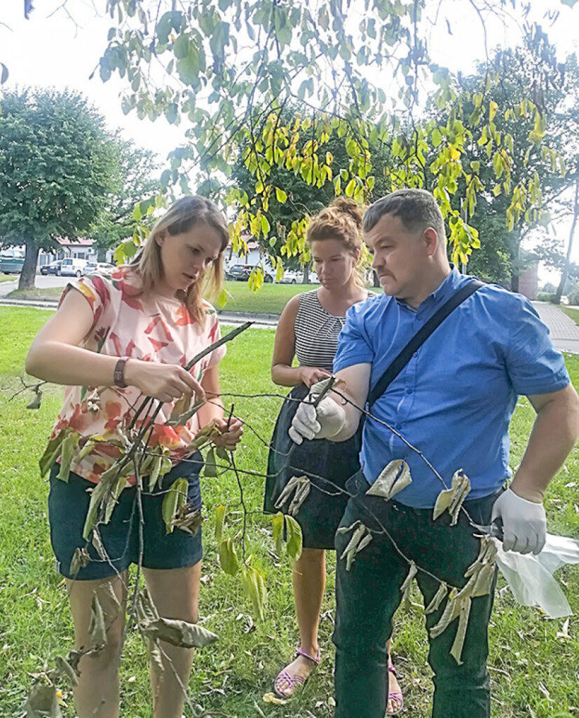 Limbažos ieperinājusies gobu slimība