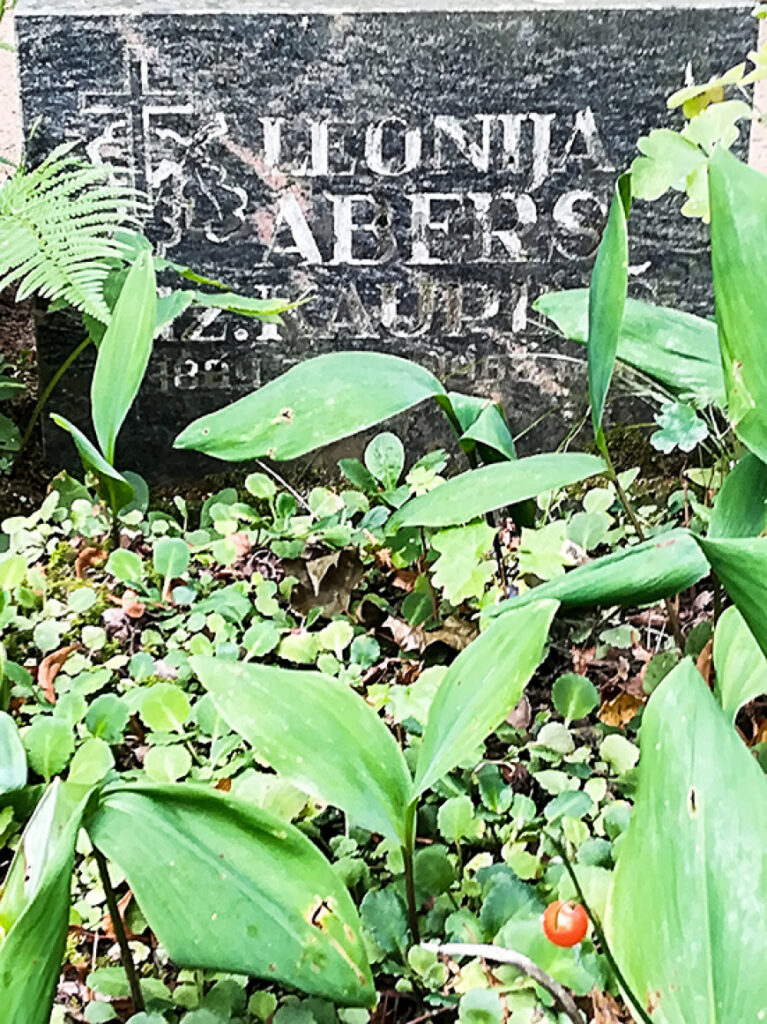 Skolotāja, kura izglāba pilsētu