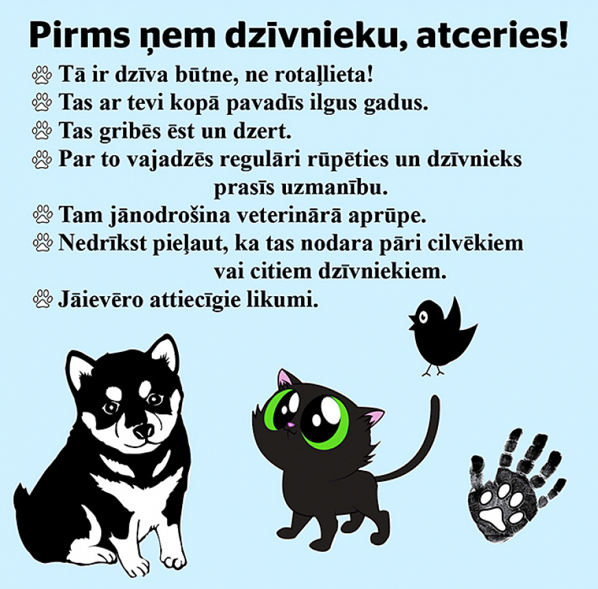 Tuvplānā: mīļdzīvnieki – rūpes un atbildība