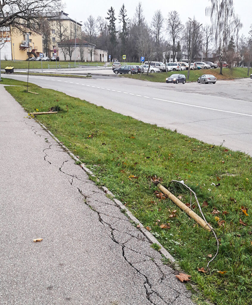 Mūsdienu “lāčplēši” cīnās ar jaunajām liepiņām un svecēm