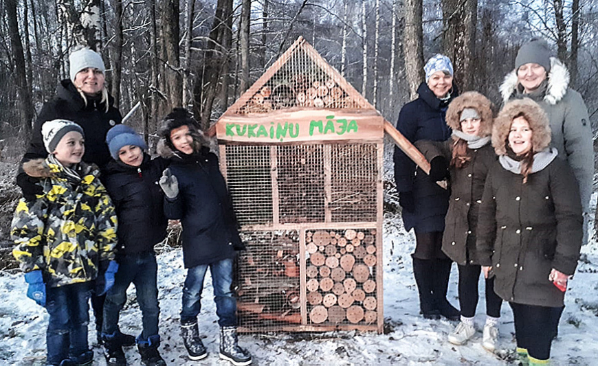 Pie Limbažu Lielezera uzstādīta māja kukaiņiem