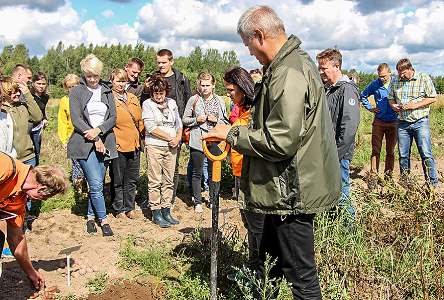 Kartupeļu audzētājiem Lauka diena «Jaunurgās»