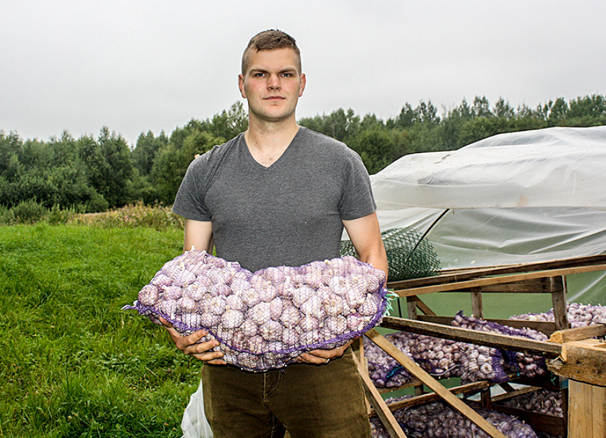 Brīvdienu bizness ar ķiplokiem uzņem apgriezienus