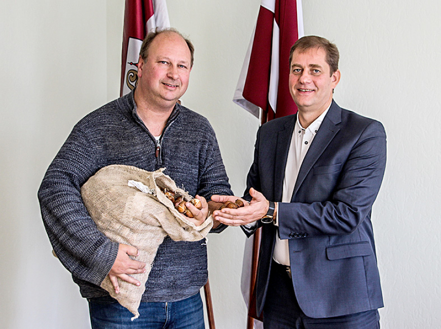 Holandes uzņēmējs Limbažu novadam uzdāvina 6000 tulpju sīpoliņus