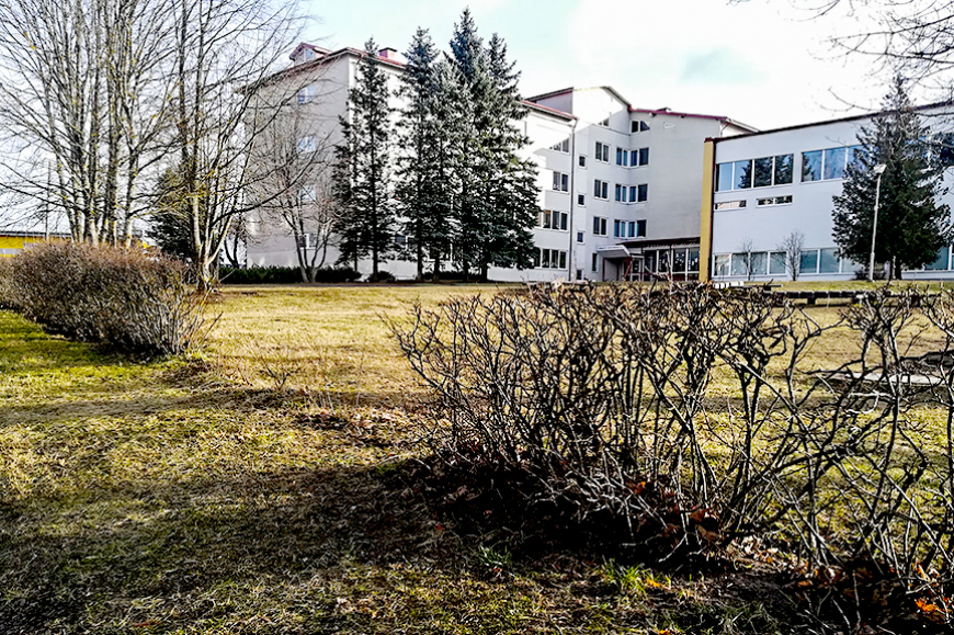 Limbaži ne vien apļveida krustojumu, bet arī sētu pilsēta?