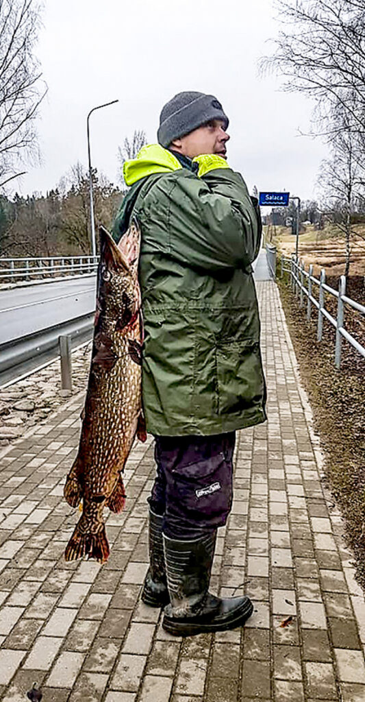 Salaca staicelietei dāvā brangu līdaku