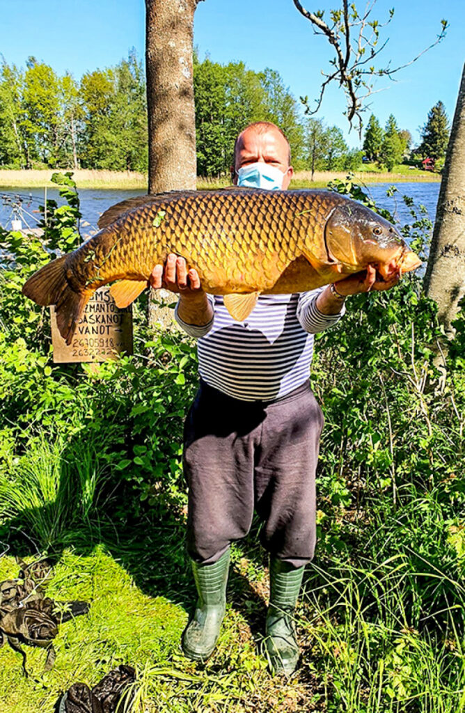 Āsteres ezerā noķerta 14,4 kg smaga karpa