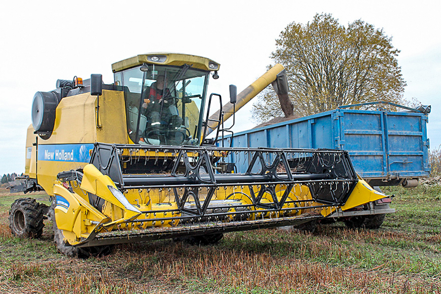 «Aloja Agro» griķus kūla vēlu, tomēr raža laba