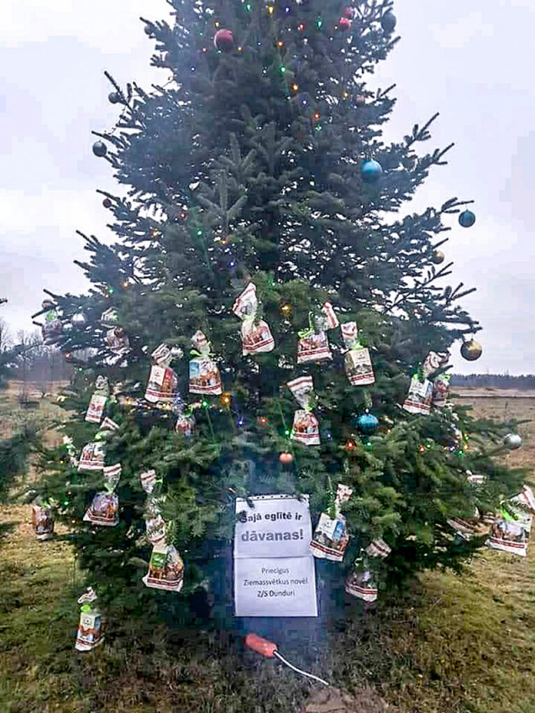 «Dunduri» eglīti Korģenē rotā ar dāvanām