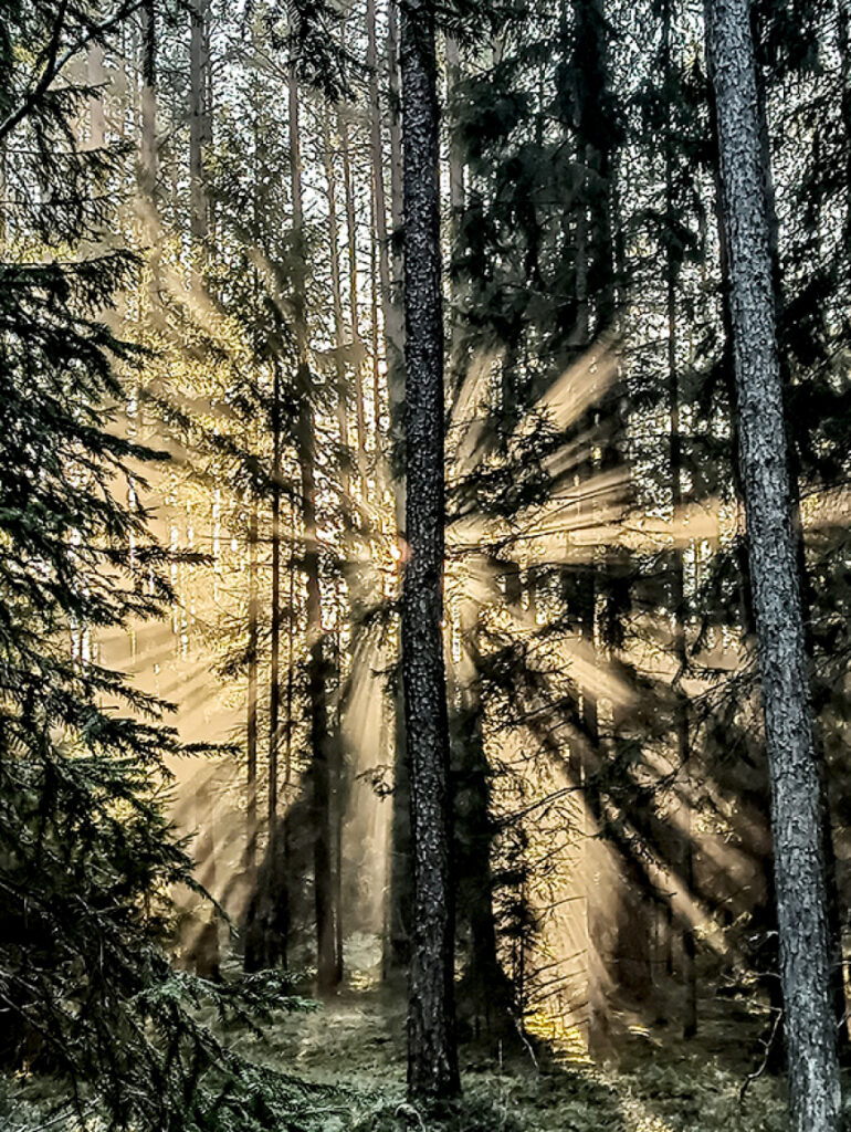 Fotokonkursam liela atsaucība
