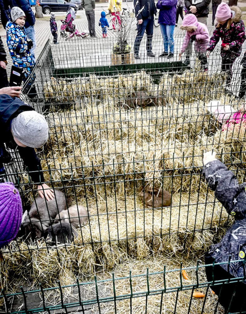 Alojiešus Lieldienās iepriecināja Zaķu pilsēta