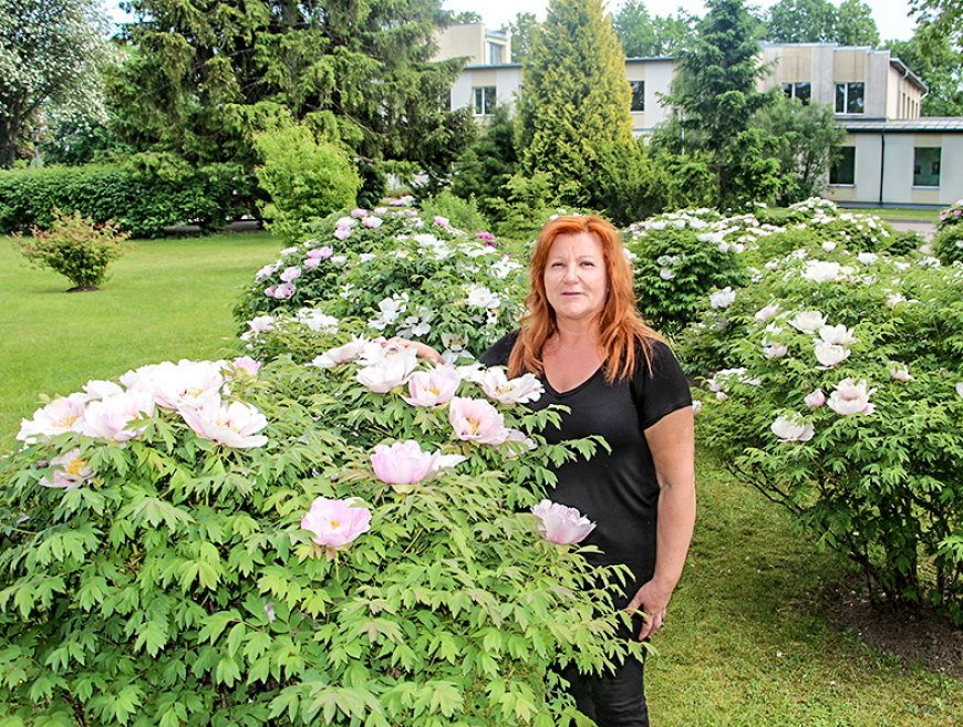 Skolotāja Valentīna dārzniece arī peoniju laukā