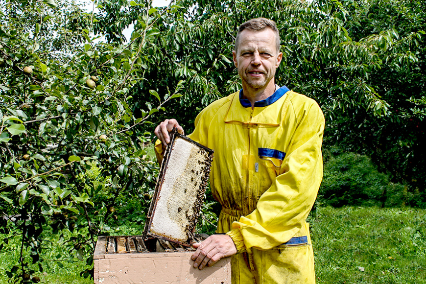 Skultietis Artis Vilciņš lepojas ar 30 gadu pieredzi biškopībā