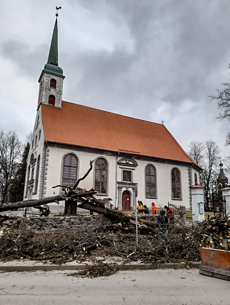 Vējš pie Limbažu luterāņu dievnama nolauž kokus