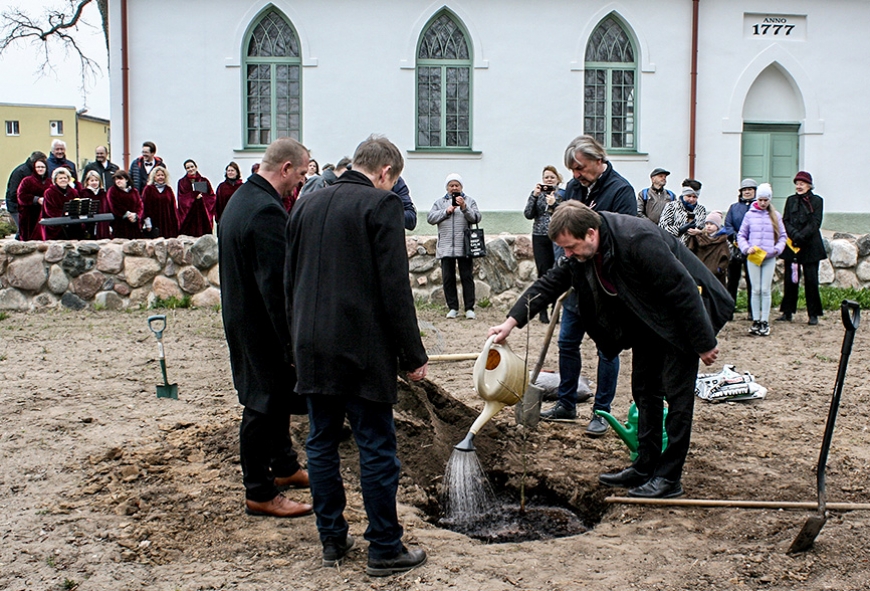 Salacgrīvā iestāda Glika ozolu