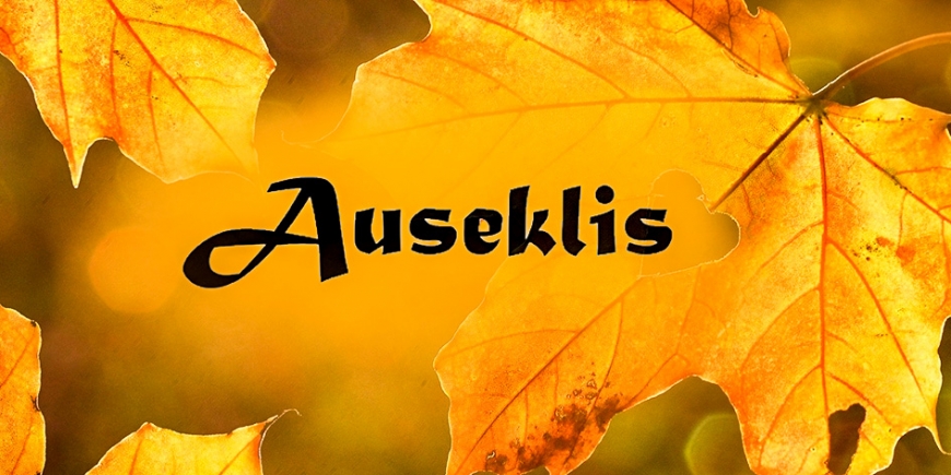 Mēs jautājam jums, saviem lasītājiem!