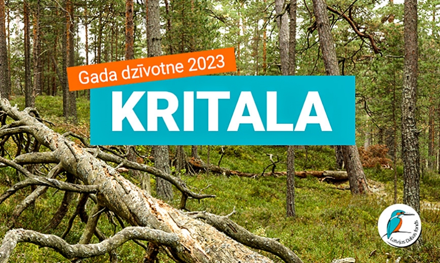 Gada dzīvotne 2023 – kritala