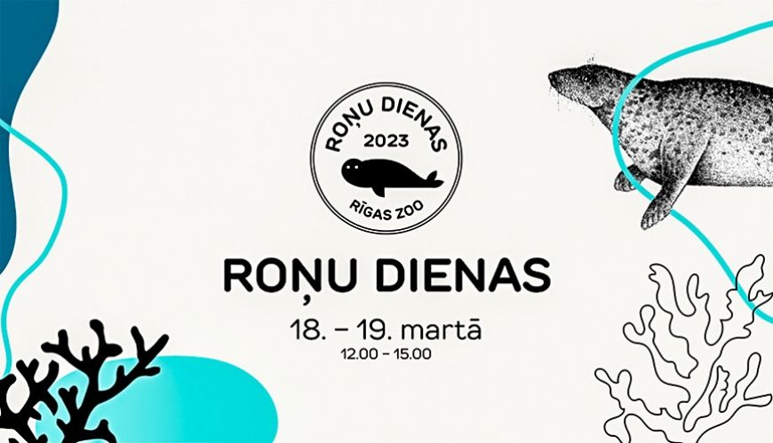 Roņu dienas Rīgas zoodārzā