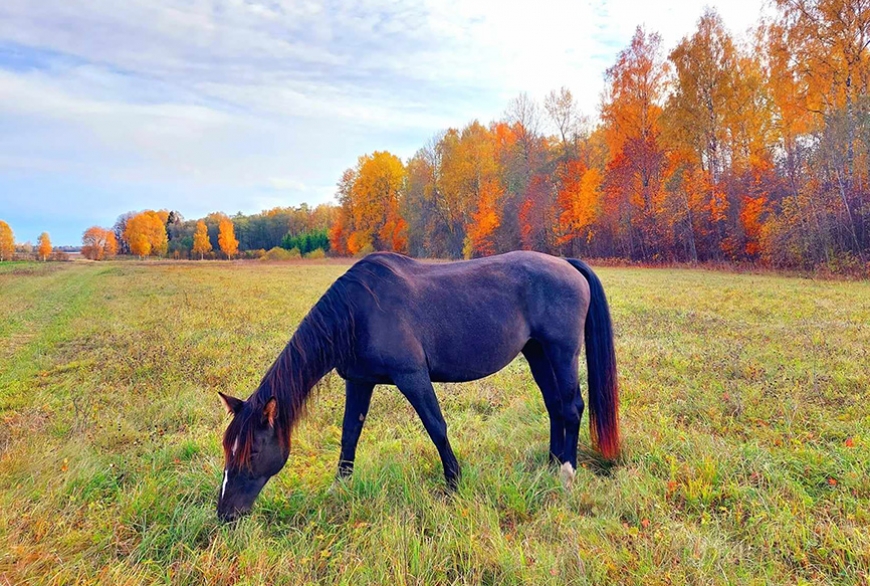 Septembris – Dzejas dienu mēnesis – ir atkal klāt!
