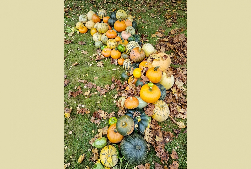 Radošais rudens II