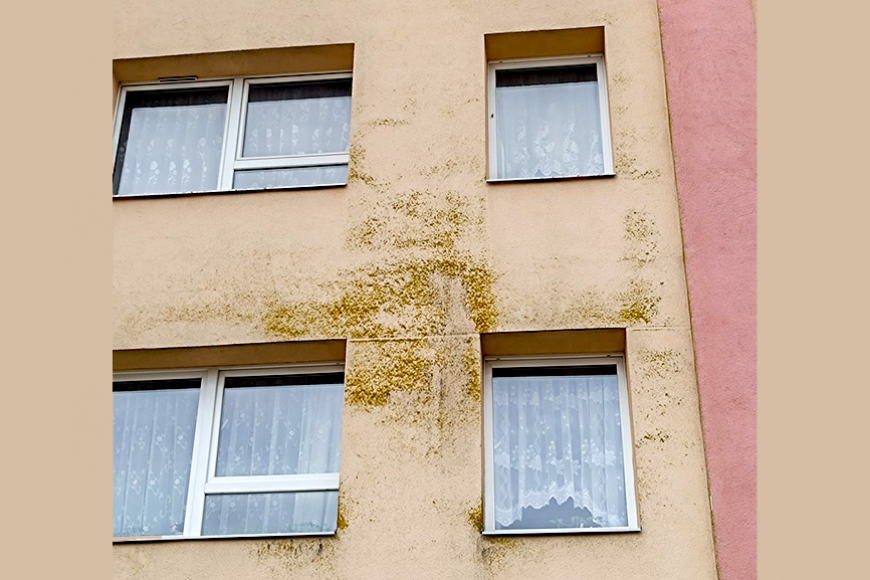 Limbažos satraucas par pelējumu uz ēkas fasādes