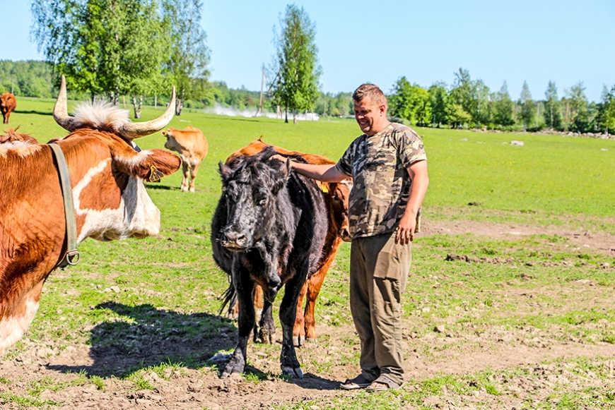 Salacgrīvas pagasta z.s. «Bebrīši» dažādo darbības jomas