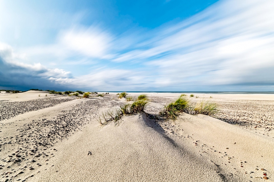 Ikviens var palīdzēt glābt Baltijas jūru