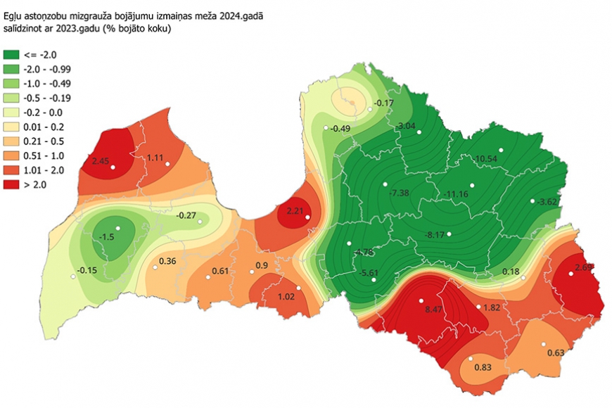 Limbažu novadā mizgraužu aktivitāte pērn nav pieaugusi