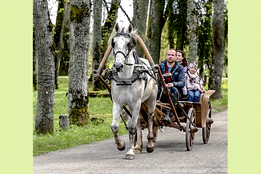Sanda sirdij zirgi tuvi jau no bērnības
