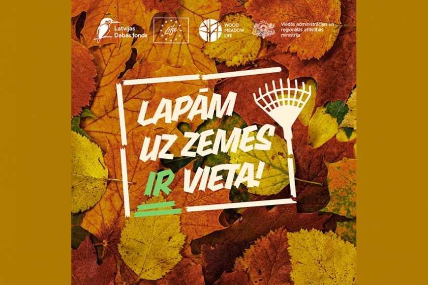 Latvijas Dabas fonds atgādina: lapām uz zemes ir vieta!