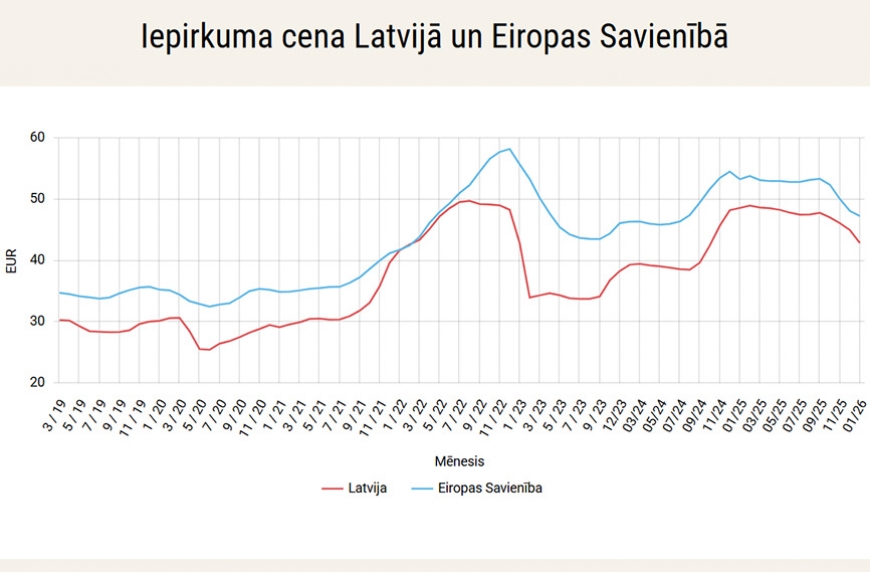 Kā piena sapnis pārvērtās par piensaimnieku murgu