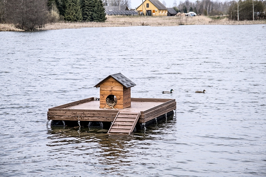 Vairākos projektos uzlabos Limbažu Dūņezera ekoloģisko stāvokli