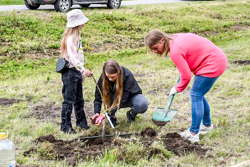 Kurzeme: Zirās iestādīti 18 valriekstu koki
