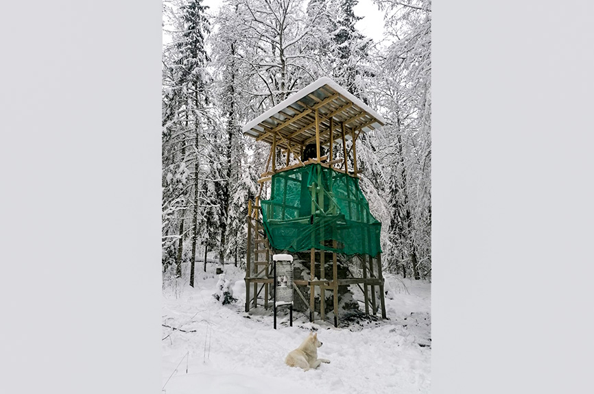 Bīriņu pils parkā uzsākta Emīlijas pieminekļa restaurācija un saņemti vērtīgi dāvinājumi (ziņa/aktua