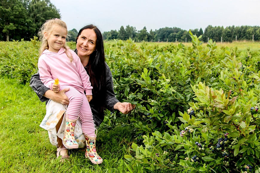 No akordeona līdz krūmmelleņu dārzam Viļķenes pagastā